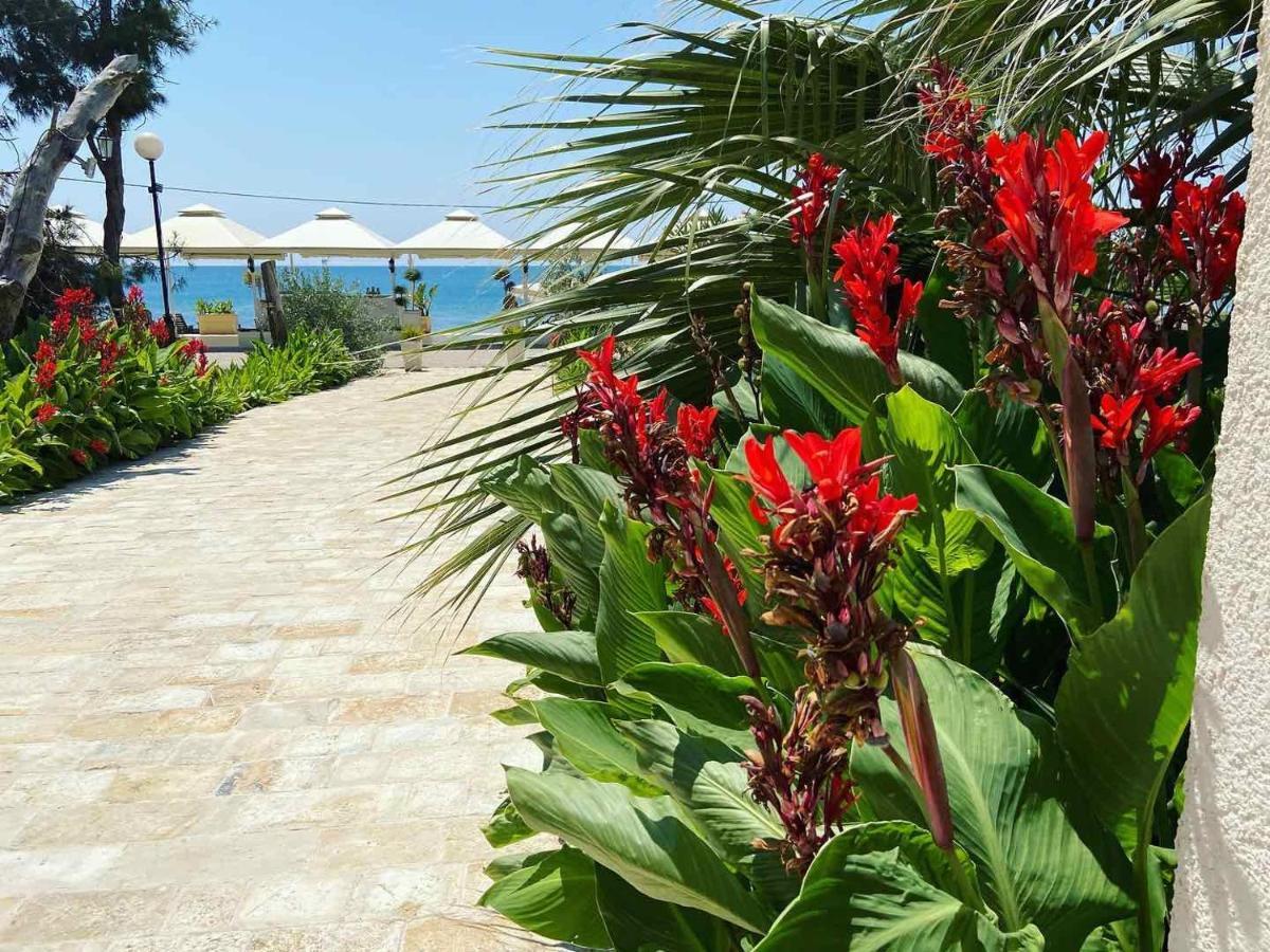 Apartments Kuce Lekovica Beach & Snack Bar- Bistro Exterior photo